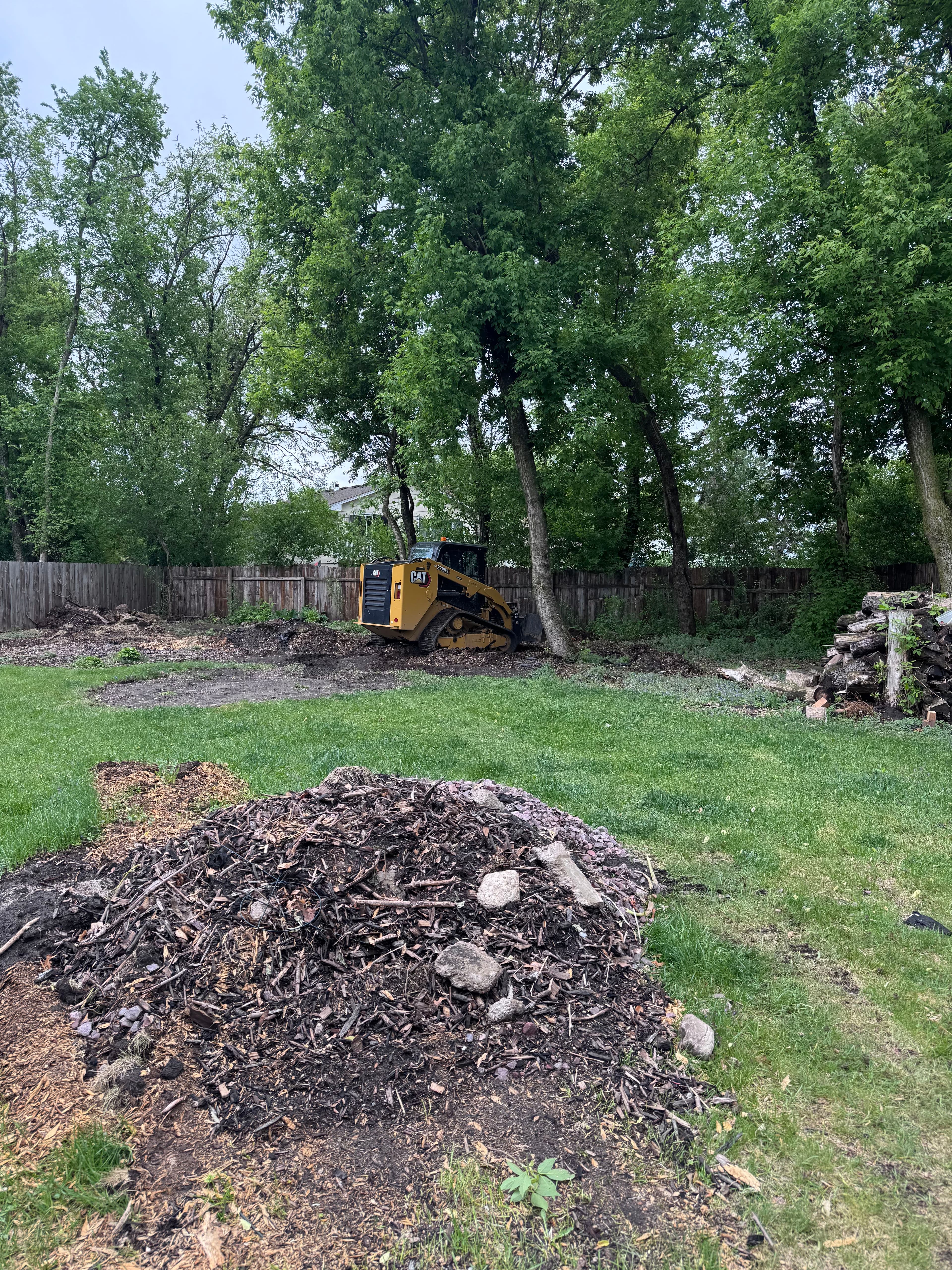 Project Backyard Gets a Full Reset With Sod and Landscaping image