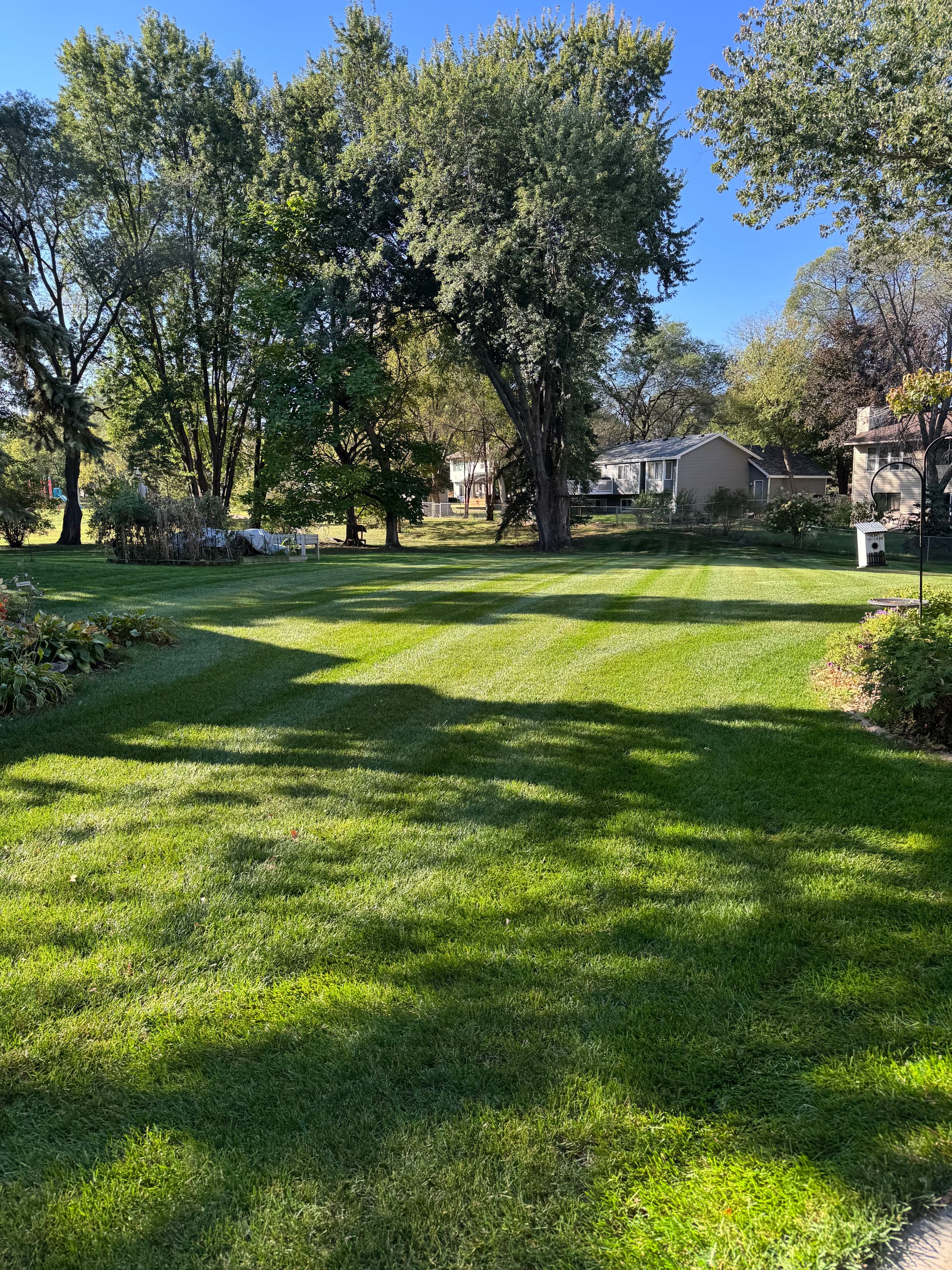 Gallery photos for Achieve the Best Lawn on the Block with Our Expert Mowing Services: Image #1