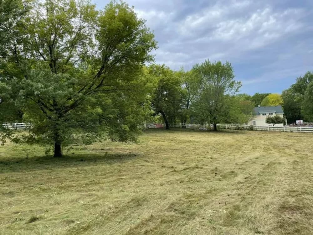 Lush green field with trees and a house in the background under a cloudy sky.
