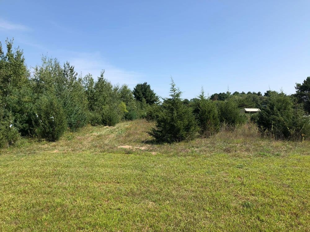 Lush green landscape with trees and a clear sky on a sunny day. Ideal for outdoor activities.