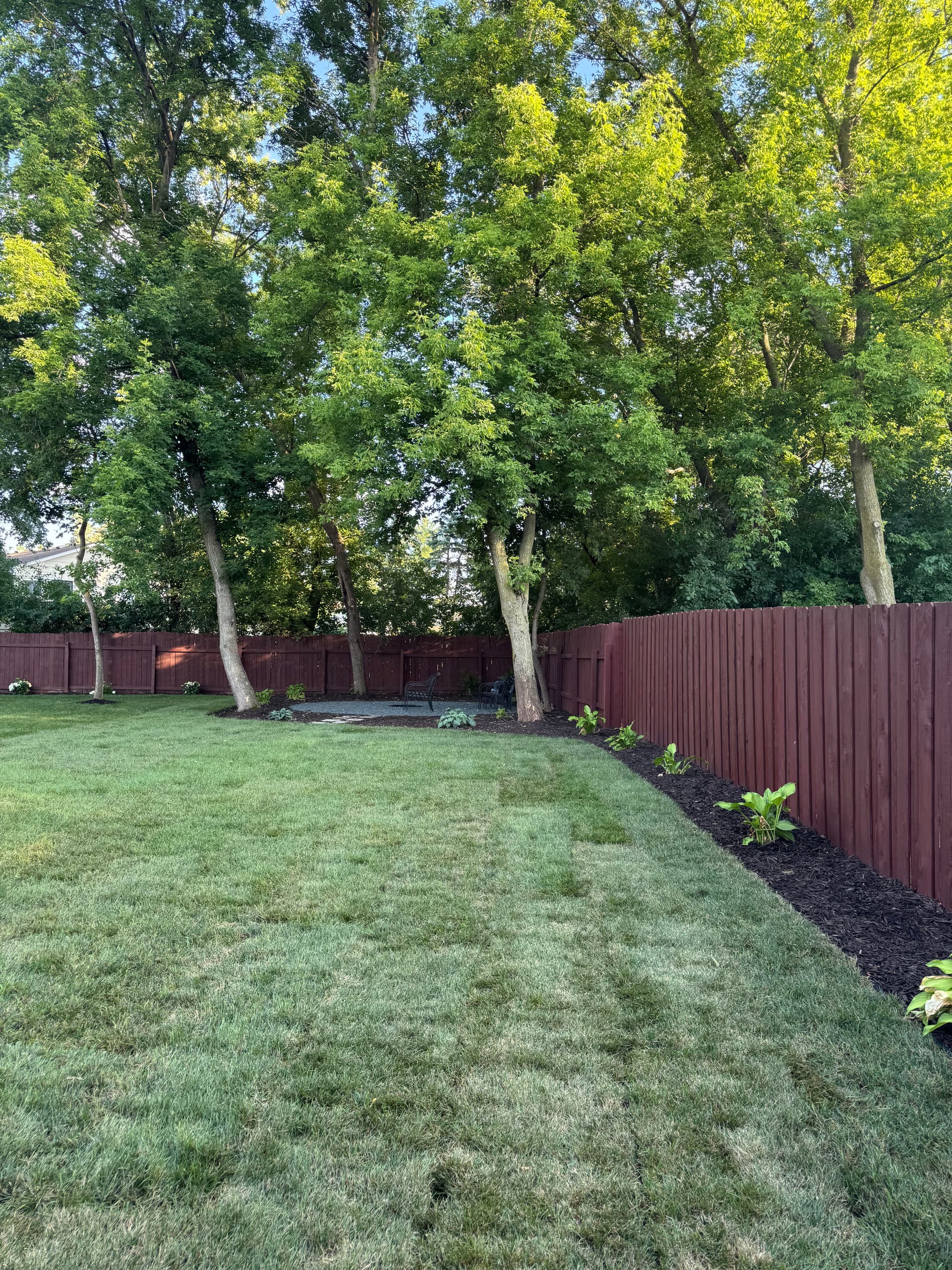 Gallery photos for Backyard Gets a Full Reset With Sod and Landscaping: Image #7