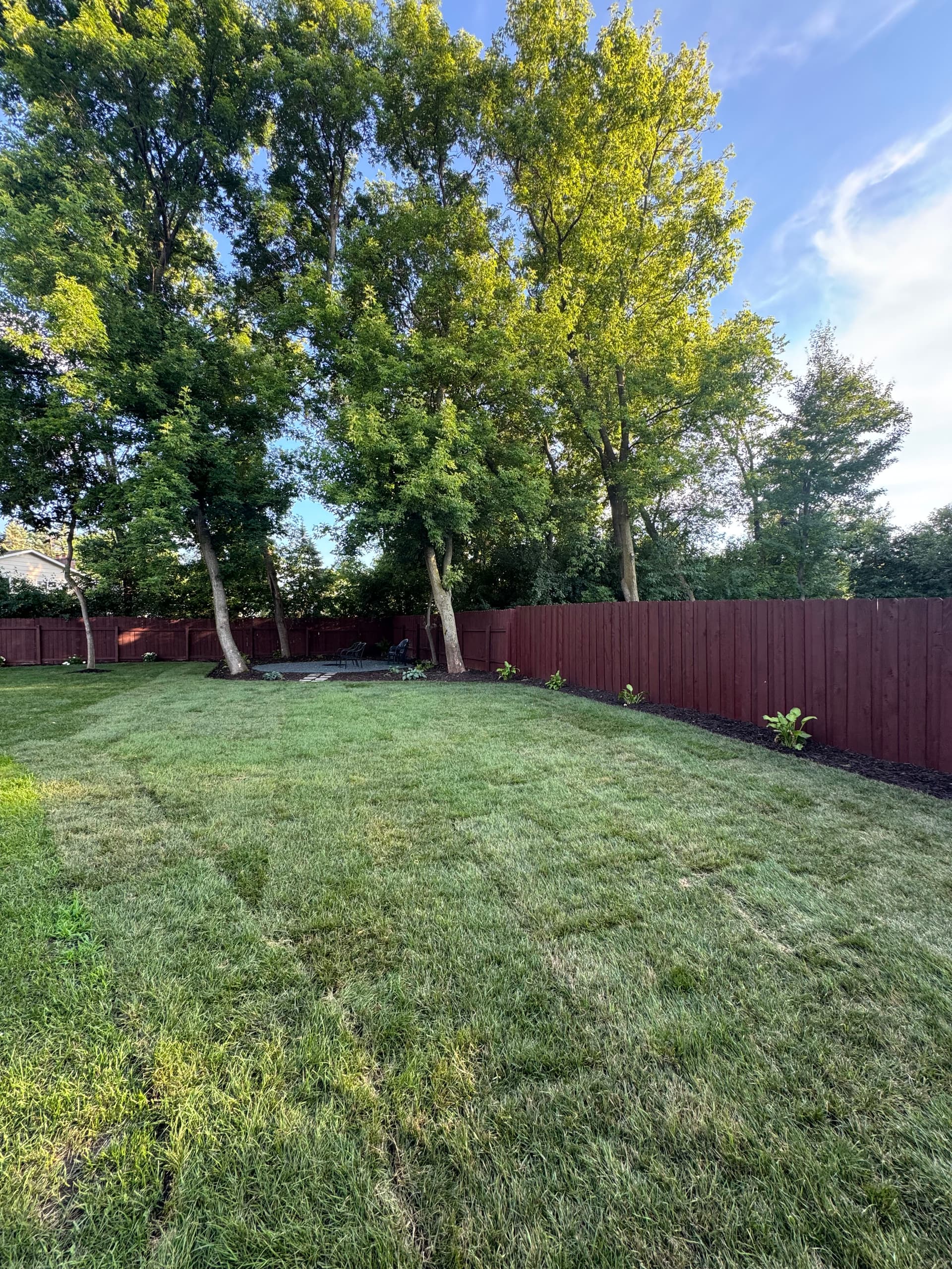 Gallery photos for Backyard Gets a Full Reset With Sod and Landscaping: Image #8