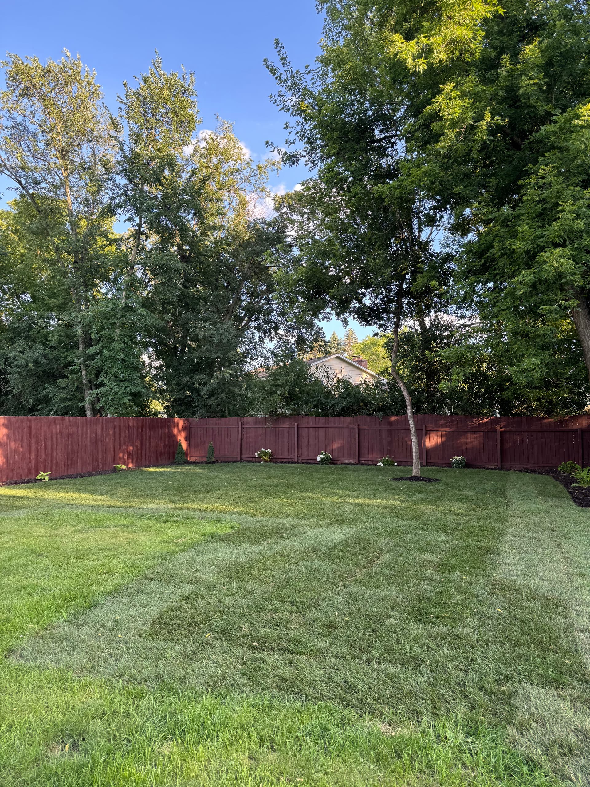 Gallery photos for Backyard Gets a Full Reset With Sod and Landscaping: Image #5