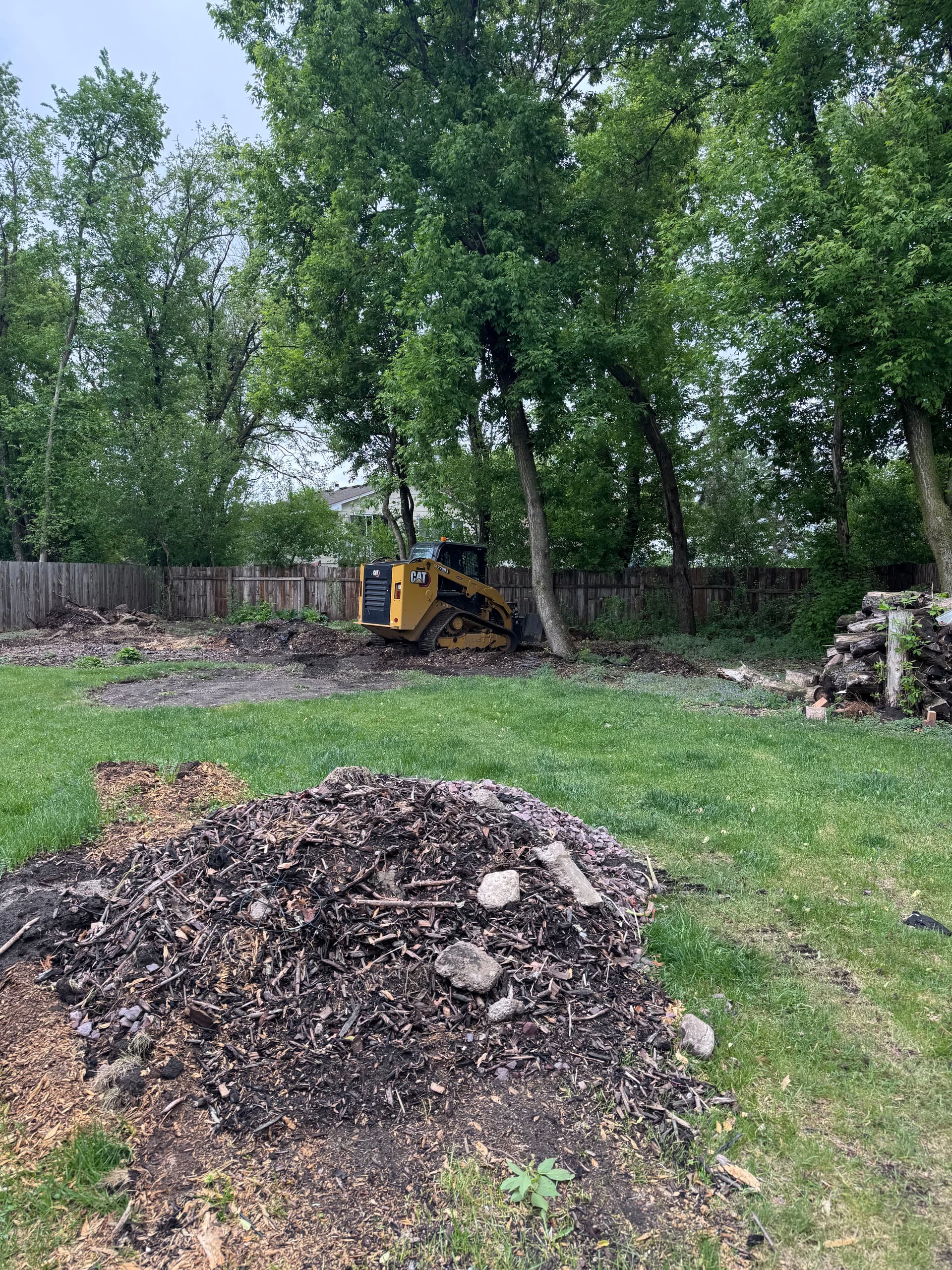 Backyard Gets a Full Reset With Sod and Landscaping image