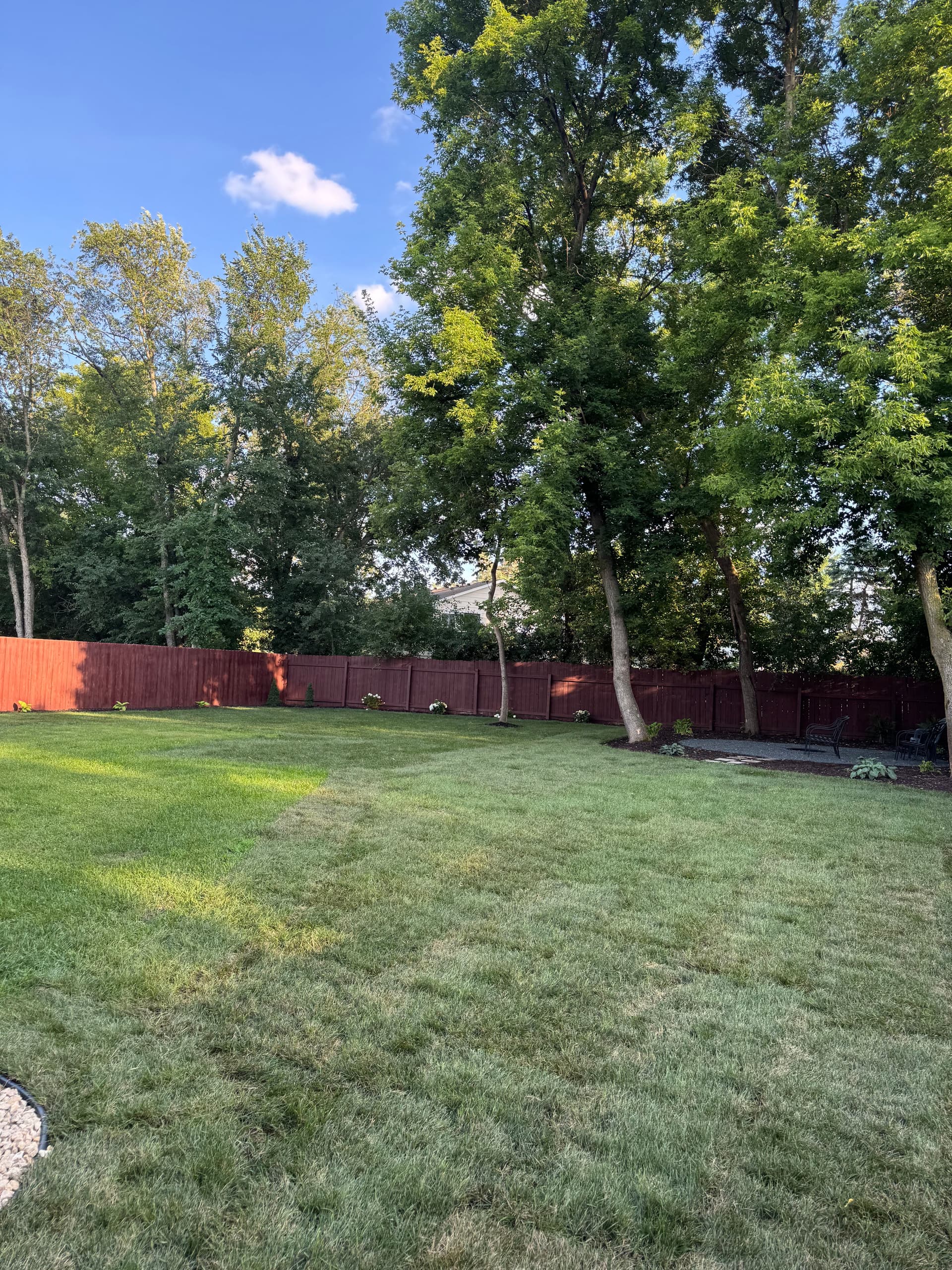 Gallery photos for Backyard Gets a Full Reset With Sod and Landscaping: Image #6