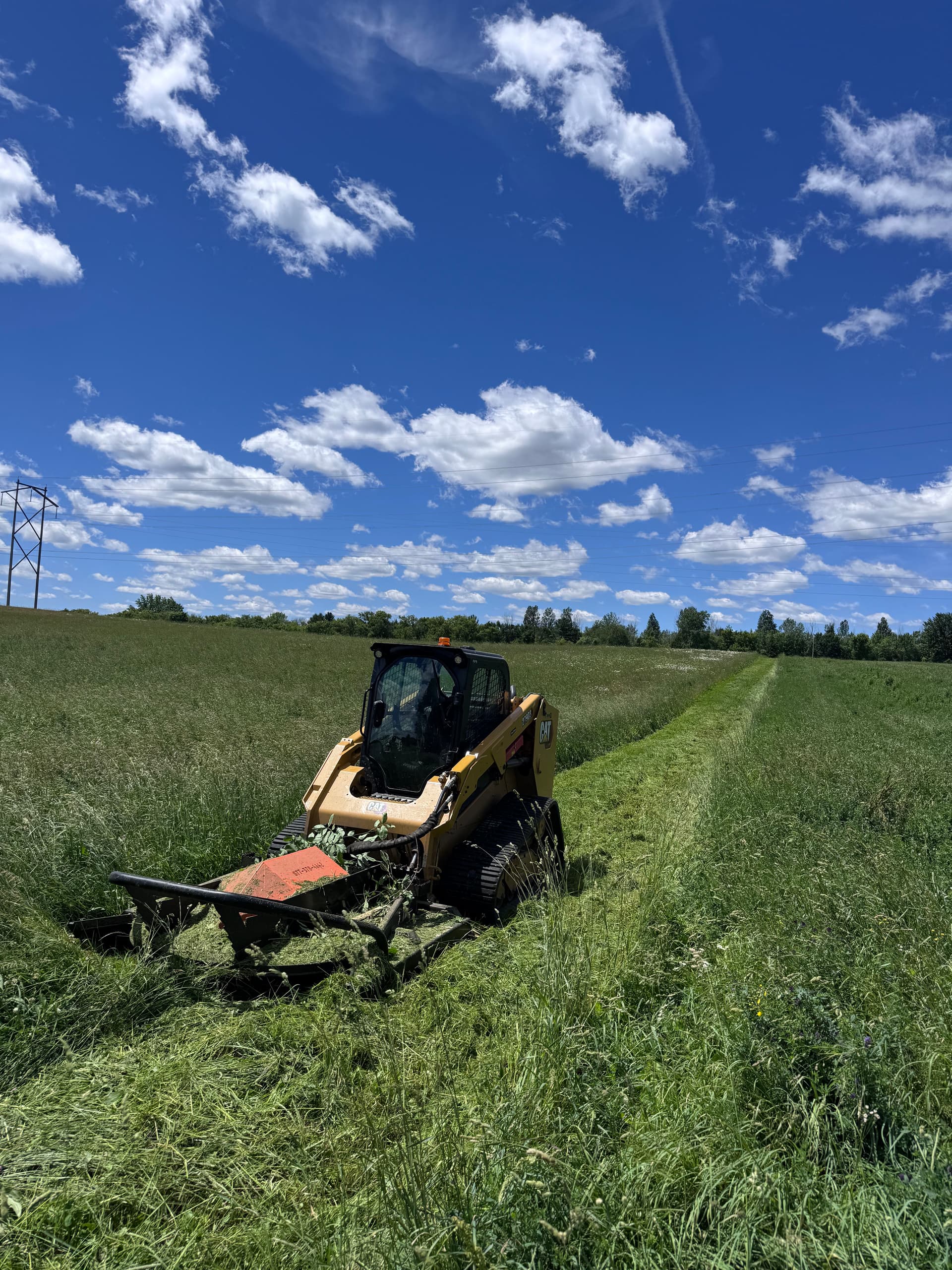 Gallery photos for Pasture Mowing and Brush Clearing for Overgrown Properties: Image #1