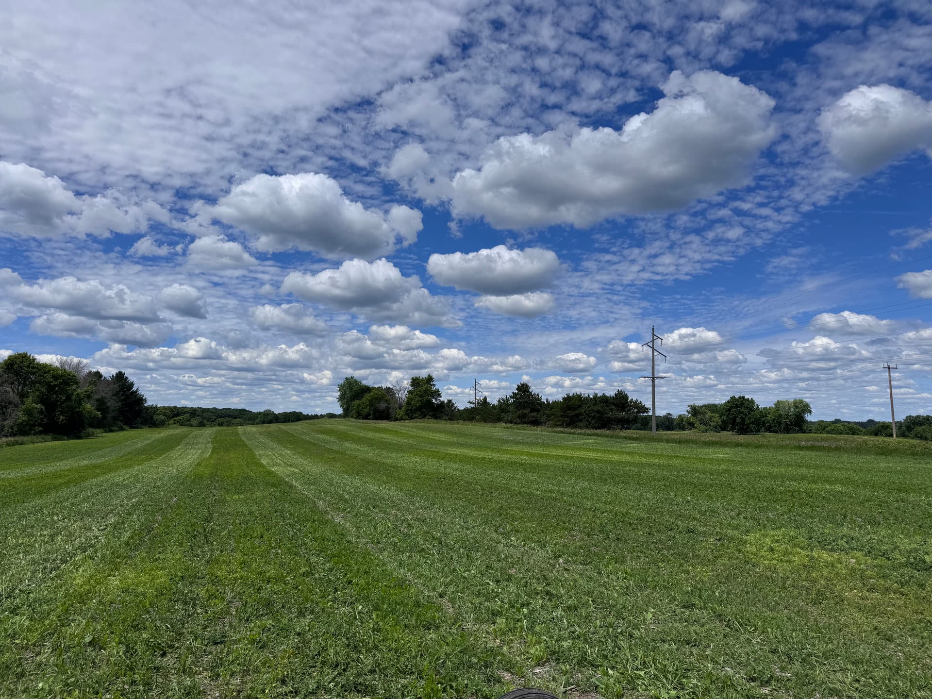 Gallery photos for Pasture Mowing and Brush Clearing for Overgrown Properties: Image #4
